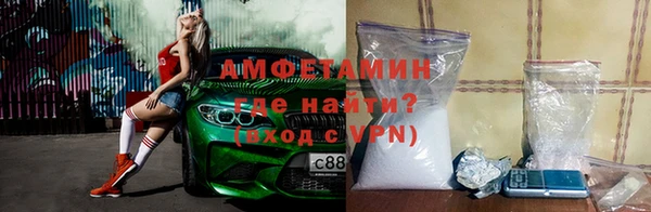 прущие грибы Горно-Алтайск