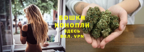 прущие грибы Горно-Алтайск