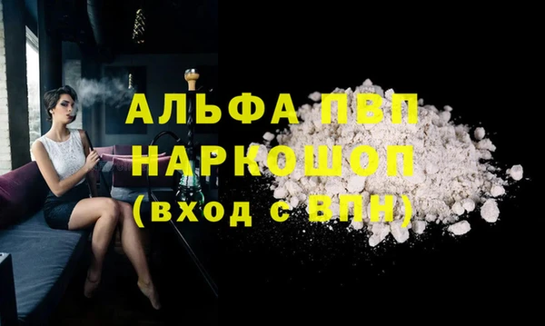 прущие грибы Горно-Алтайск