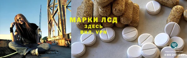 PSILOCYBIN Горнозаводск