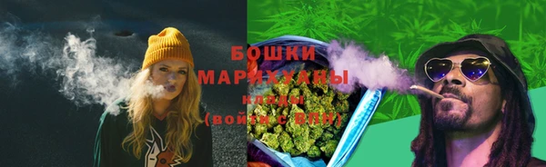 PSILOCYBIN Горнозаводск