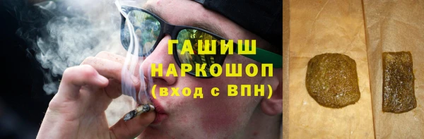 прущие грибы Горно-Алтайск