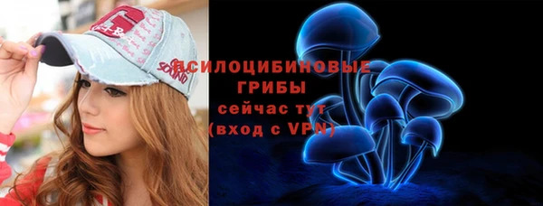 прущие грибы Горно-Алтайск