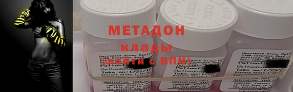 прущие грибы Горно-Алтайск
