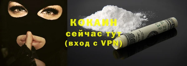 PSILOCYBIN Горнозаводск