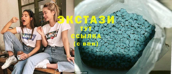 прущие грибы Горно-Алтайск