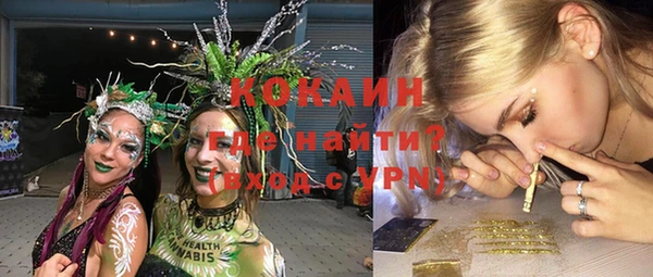 PSILOCYBIN Горнозаводск