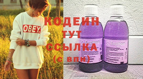прущие грибы Горно-Алтайск