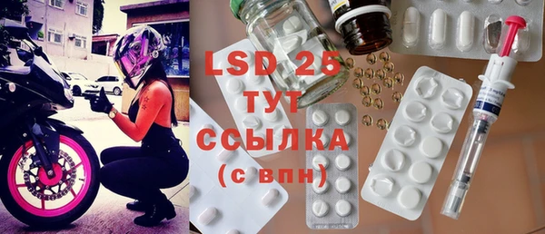 PSILOCYBIN Горнозаводск