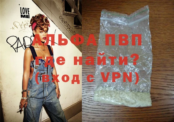 прущие грибы Горно-Алтайск