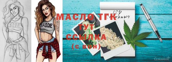 прущие грибы Горно-Алтайск