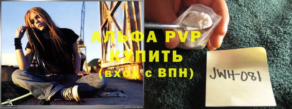 прущие грибы Горно-Алтайск