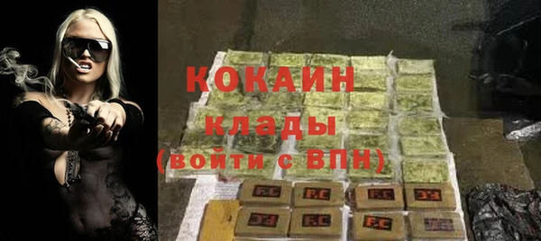 прущие грибы Горно-Алтайск