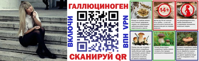 Псилоцибиновые грибы Psilocybine cubensis  Данилов 